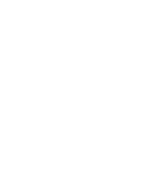 SEBI Registered Investment Advisor